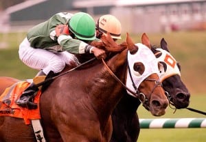 Roadhog rallies to take the Maryland Million Turf.  Photo by Jim McCue, Maryland Jockey Club.