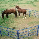 In Pennsylvania case, racing’s rules on trial, too