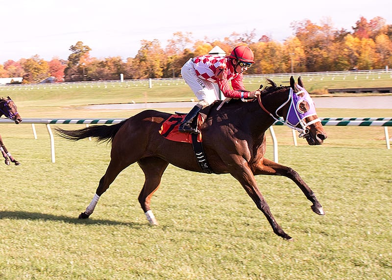 Super Chunky takes Laurel Park feature