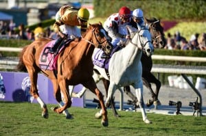 Wise Dan takes the Breeders' Cup Mile.  Photo Breeders' Cup Ltd.