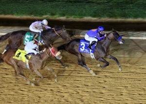 Game On Dude holds off Ron the Greek and Clubhouse Ride to win the 2013 Charles Town Classic.  Photo by Coady Photography.