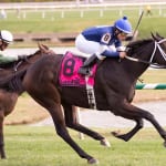 Fasig-Tipton mixed sales posts strong gains
