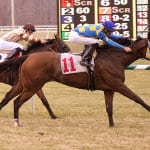 Counting on mare power at the Fasig-Tipton mixed sale
