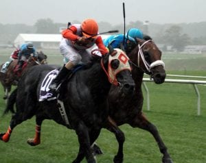 Ben's Cat and Mr. Online in the Laurel Dash.  Photo by Laurie Asseo.