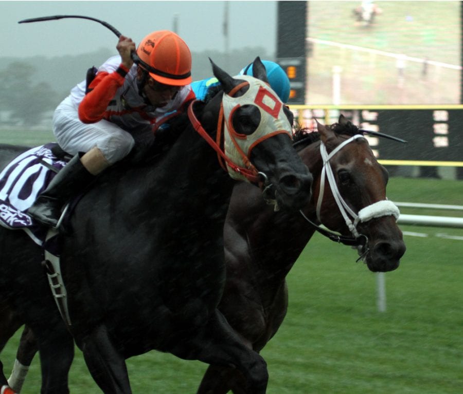 Ben's Cat and Mr. Online in the Laurel Dash.  Photo by Laurie Asseo.