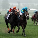 Pletcher pair target Pimlico Special
