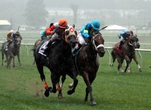 Ben's Cat and Mr. Online in the 2013 Laurel Dash.  Photo by Laurie Asseo.