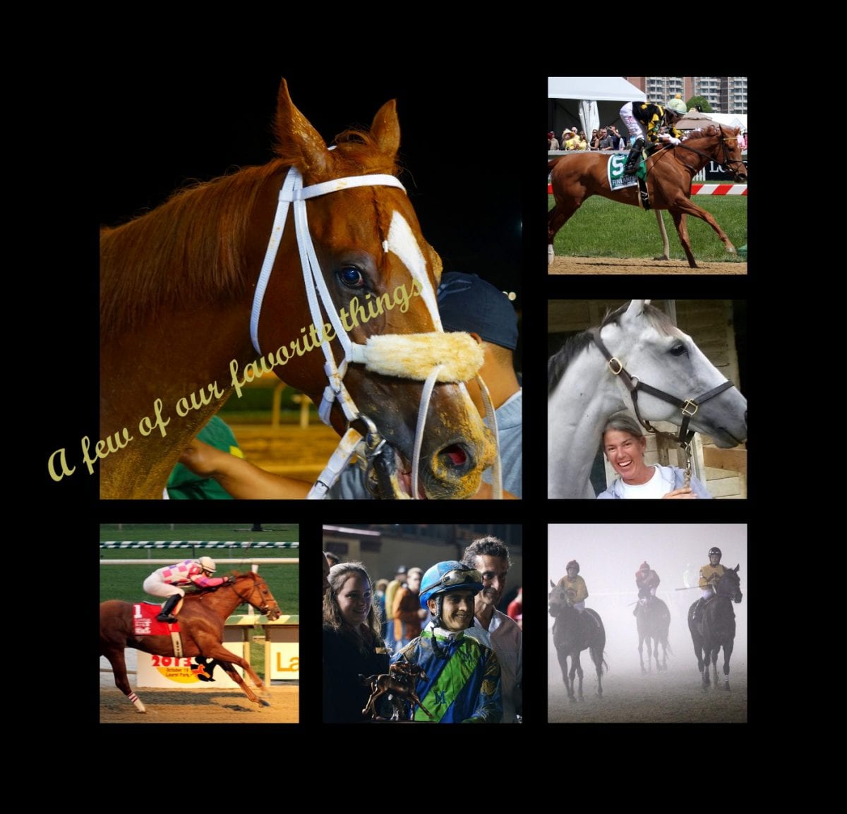 Favorite things: Royal Delta