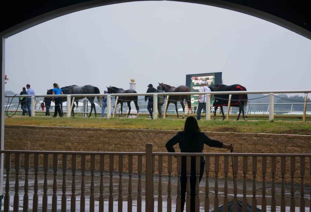 Horse through the paddock arch at Laurel.  Photo by Vas.