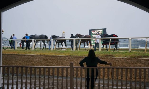 1ST Racing bans jockey Mychel Sanchez