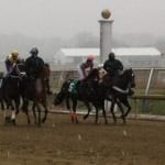 NTRA releases first top Thoroughbred poll of 2014