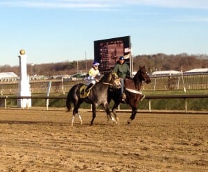 Joint Custody warms up prior to the Maryland Juvenile Championship.  Photo by The Racing Biz.