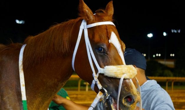 Seven set to contest Charles Town Classic