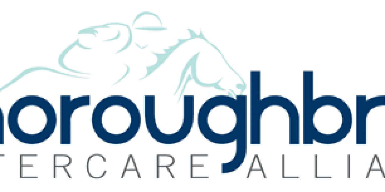 Thoroughbred Aftercare Alliance awards first grants