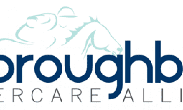 Thoroughbred Aftercare Alliance awards first grants