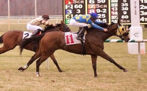 Carrasco strikes again.  Photo by Jim McCue, Maryland Jockey Club.