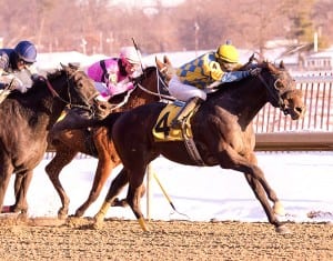 Broad Rule.  Photo by Jim McCue, Maryland Jockey Club.