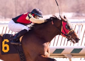 Germaniac.  Photo by Jim McCue, Maryland Jockey Club.