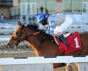 Noble Moon proved best in the jerome and is squarely on the Derby trail.  Photo NYRA/Adam Coglianese.