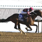 Colonial Downs proposals could end Virginia standoff — but not yet