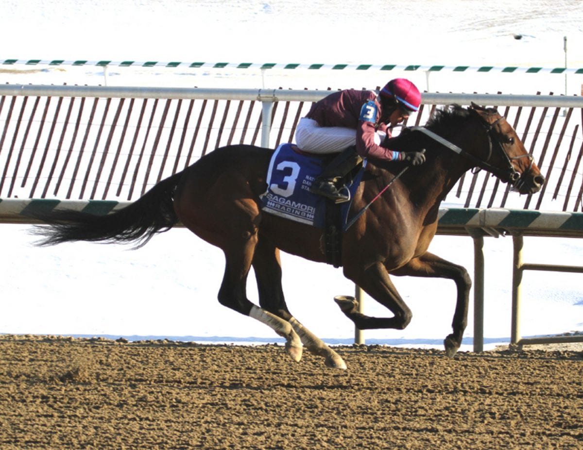 Virginia-breds lead inaugural Top Midlantic-bred Poll