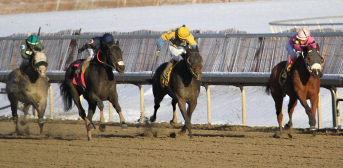 LookBack: January 4 answers
