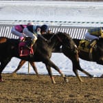 Thoroughbred Alliance Show Series awards to be presented January 11