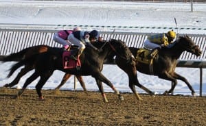 Broad Rule splits Service for Ten, outside, and Warrioroftheroses, inside, to win the Fire Plug Stakes.  Photo by Laurie Asseo.