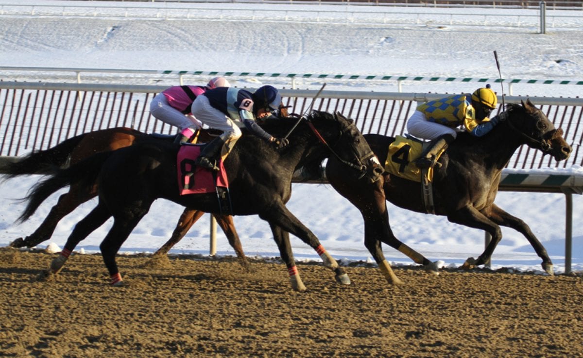 RaceBrief for March 25: PA-bred purses and more