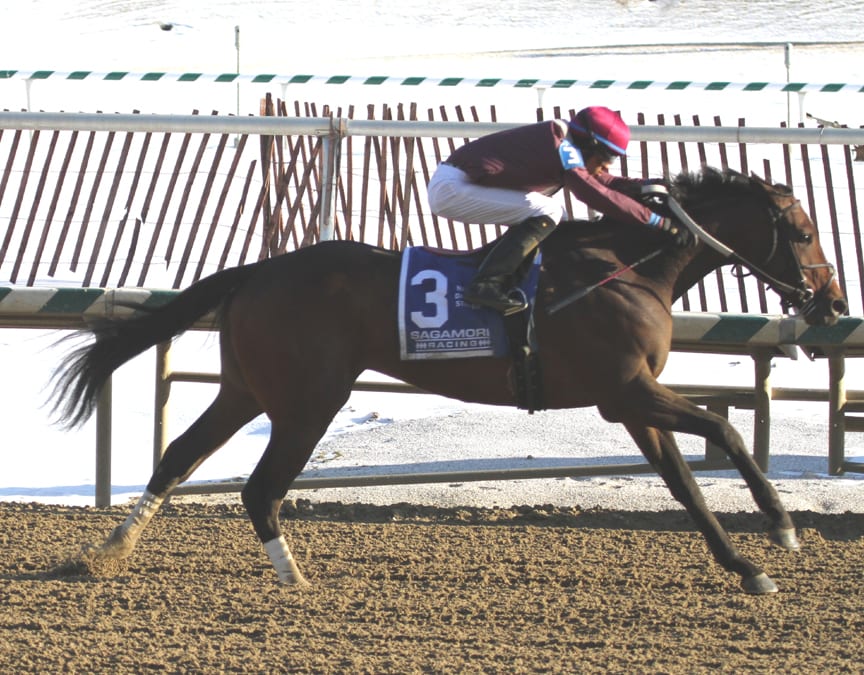 In-form Bold Curlin sweeps to Native Dancer victory