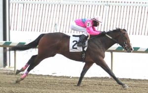 Extrasexyhippzster was much the best in the Miracle Wood for trainer Mike Trombetta.  Photo by Laurie Asseo.