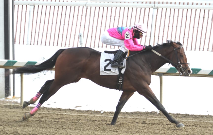 Triple Crown nominations include several Midlanticbreds from Free