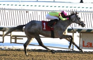 Firenze Feeling wins the Nellie Morse, Victor Carrasco's first stake win.  Photo by Laurie Asseo.