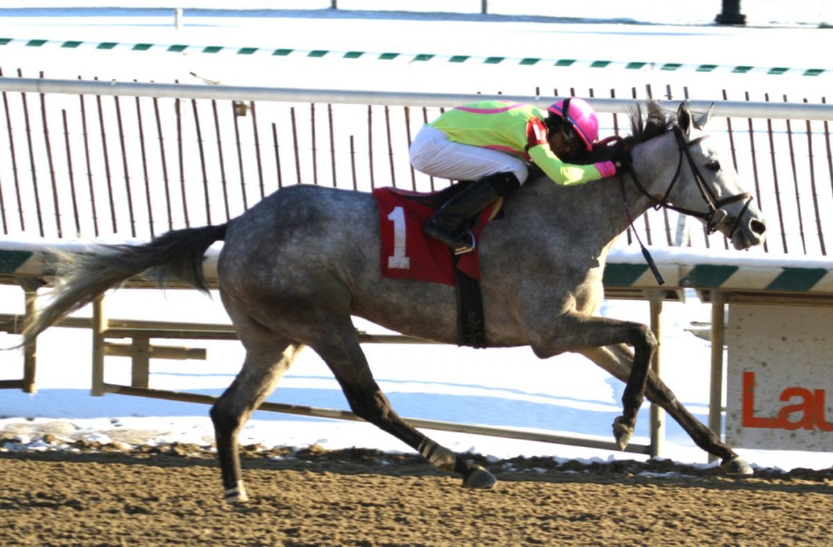 Usually calm Victor Carrasco finds himself happily flummoxed at Eclipse Awards