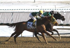 Indian Jones (#2), rallied to be second in the Native Dancer. Photo by Laurie Asseo.