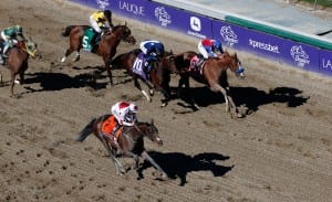 London Bridge with Mike Smith aboard wins the $500,000 Breeders' Cup Marathon.  Photo by © Breeders' Cup/Todd Buchanan 2013.