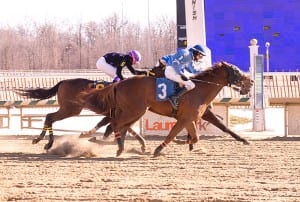 No irons, no problem for Trevor McCarthy, winning aboard Chi Chi's Pride.  Photo by Jim McCue, Maryland Jockey Club.