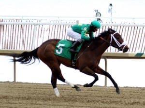 Taris cruises to victory in the Wide Country Stakes.  Photo by Laurie Asseo.