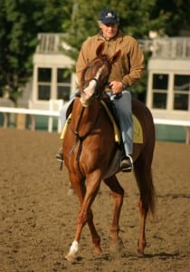 Following John's Call's racing career, trainer Tom Voss employed the gelding as a stable pony, here at Saratoga.  Photo by Laurie Asseo.