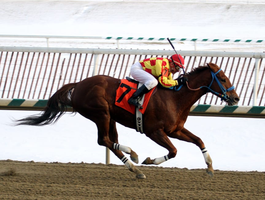 Tony Black says that, as a jockey, he often took advantage of winter's speed-favoring tracks to post wire-to-wire wins, as he did here in the January 2014 What a Summer at Laurel Park. Photo by Laurie Asseo.