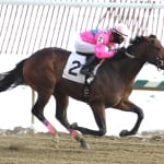 In-form Bold Curlin sweeps to Native Dancer victory