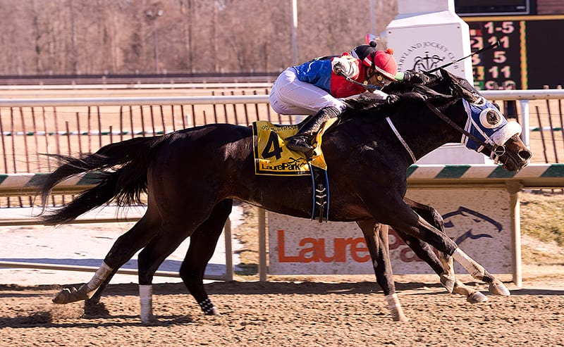 Behemoth runs big to win the John B. Campbell Handicap