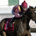 Bandbox rolls on to upset General George score