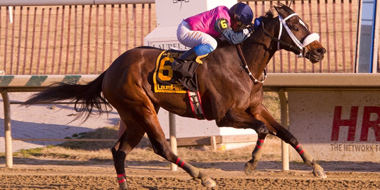 Geeky Gorgeous earns top NJ-bred honors