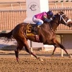 Trainer Juan Vazquez back in the entries