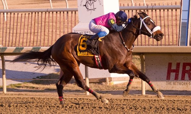 Stakes-quality allowance featured at Parx