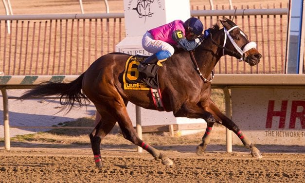 For runner-turned-ponies, new career, same workplace