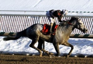 Xavier Perez exults as he and Bandbox roll to victory in the Grade 3 General George.  Photo by Laurie Asseo.