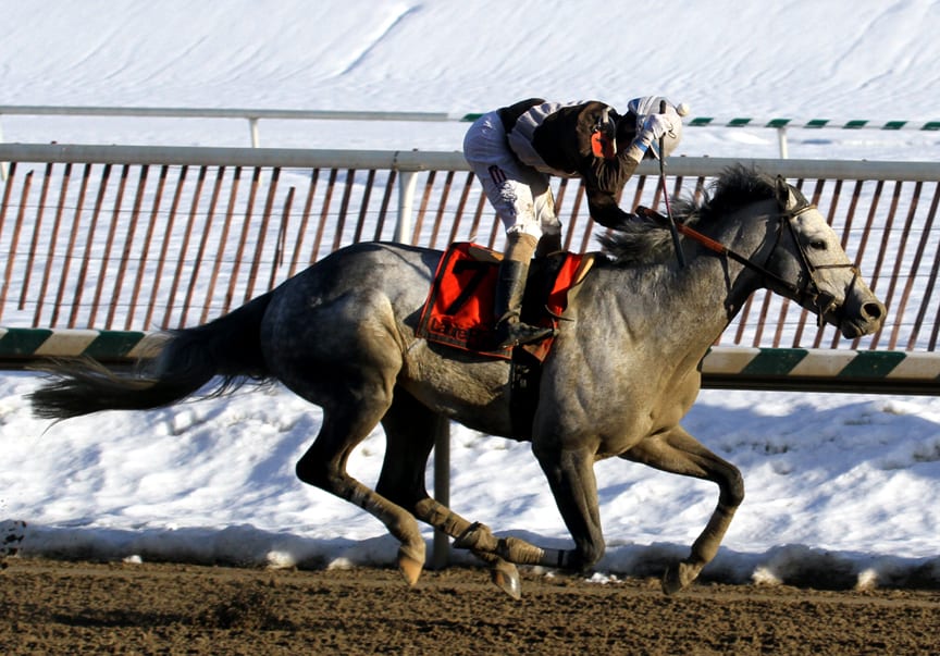 Two stakes top Saturday’s Laurel Park card