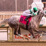 Gabby Gaudet’s longshots and exotic plays for February 8